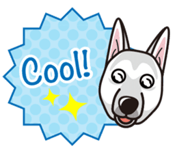 iinu - White Swiss Shepherd Dog sticker #13252249