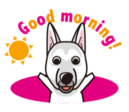 iinu - White Swiss Shepherd Dog sticker #13252250