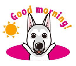 iinu - White Swiss Shepherd Dog sticker #13252250