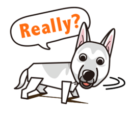 iinu - White Swiss Shepherd Dog sticker #13252253