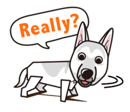 iinu - White Swiss Shepherd Dog sticker #13252253