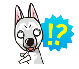 iinu - White Swiss Shepherd Dog sticker #13252254