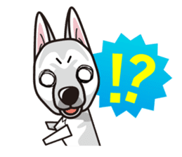 iinu - White Swiss Shepherd Dog sticker #13252254