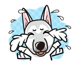 iinu - White Swiss Shepherd Dog sticker #13252255
