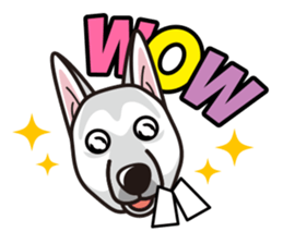 iinu - White Swiss Shepherd Dog sticker #13252257