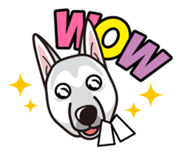 iinu - White Swiss Shepherd Dog sticker #13252257