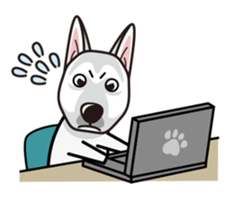 iinu - White Swiss Shepherd Dog sticker #13252260