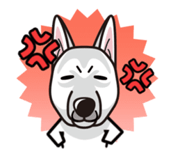 iinu - White Swiss Shepherd Dog sticker #13252261