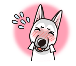 iinu - White Swiss Shepherd Dog sticker #13252262