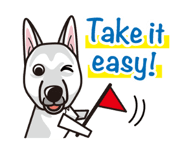 iinu - White Swiss Shepherd Dog sticker #13252263