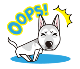 iinu - White Swiss Shepherd Dog sticker #13252265