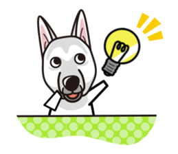 iinu - White Swiss Shepherd Dog sticker #13252267