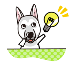 iinu - White Swiss Shepherd Dog sticker #13252267