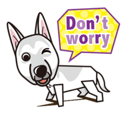 iinu - White Swiss Shepherd Dog sticker #13252268