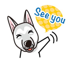 iinu - White Swiss Shepherd Dog sticker #13252269