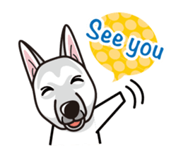 iinu - White Swiss Shepherd Dog sticker #13252269