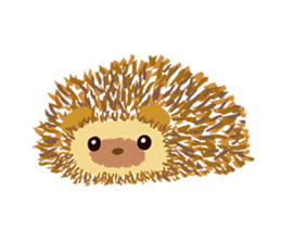 Harita sticker #13253315