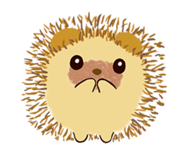 Harita sticker #13253318