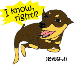 real pinscher 2 sticker #13254055