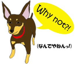real pinscher 2 sticker #13254056