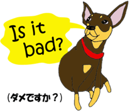 real pinscher 2 sticker #13254059