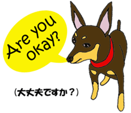 real pinscher 2 sticker #13254061