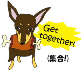 real pinscher 2 sticker #13254062