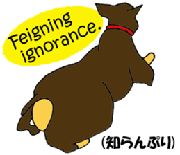 real pinscher 2 sticker #13254065