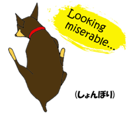 real pinscher 2 sticker #13254066