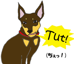 real pinscher 2 sticker #13254074