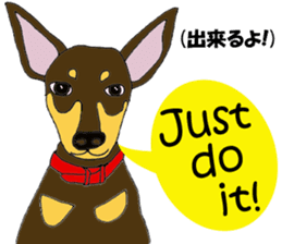 real pinscher 2 sticker #13254079
