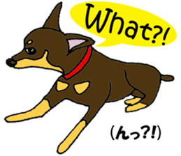 real pinscher 2 sticker #13254081