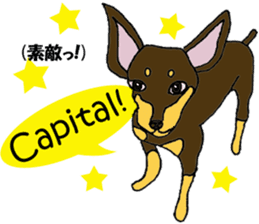 real pinscher 2 sticker #13254084