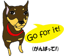 real pinscher 2 sticker #13254087