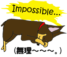 real pinscher 2 sticker #13254089