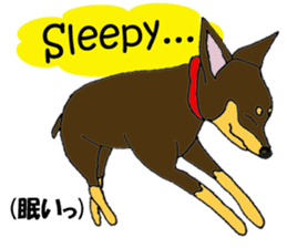 real pinscher 2 sticker #13254090