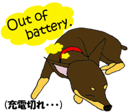 real pinscher 2 sticker #13254091