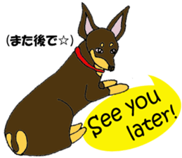 real pinscher 2 sticker #13254092