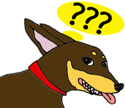 real pinscher 2 sticker #13254093