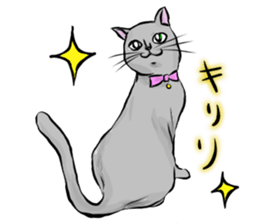 The cat's Luke. sticker #13257387