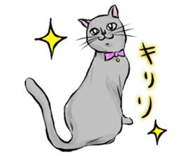 The cat's Luke. sticker #13257387