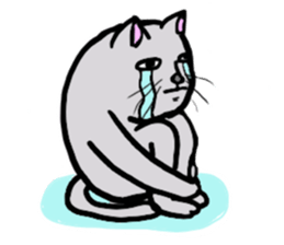 The cat's Luke. sticker #13257407