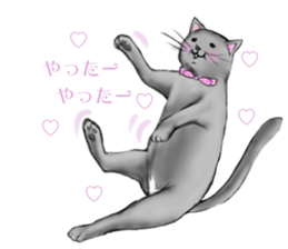 The cat's Luke. sticker #13257408