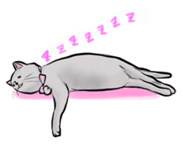 The cat's Luke. sticker #13257415