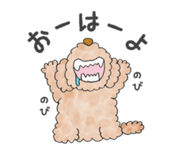 Toy poodle male 9 years old sticker #13258050