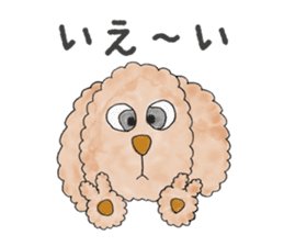 Toy poodle male 9 years old sticker #13258052