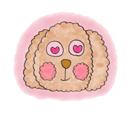 Toy poodle male 9 years old sticker #13258054