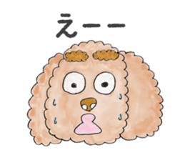 Toy poodle male 9 years old sticker #13258055