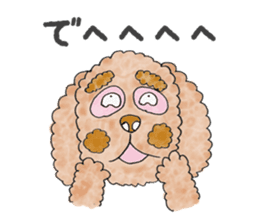 Toy poodle male 9 years old sticker #13258058