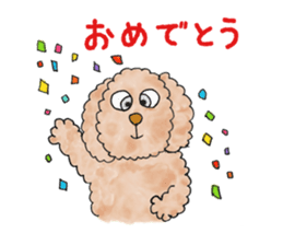 Toy poodle male 9 years old sticker #13258068